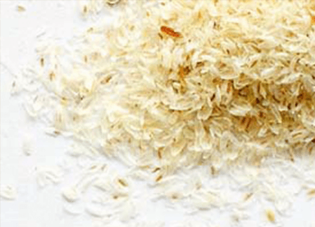 psyllium husk seeds benefits health plant husks ovata plantago produced fiber called form